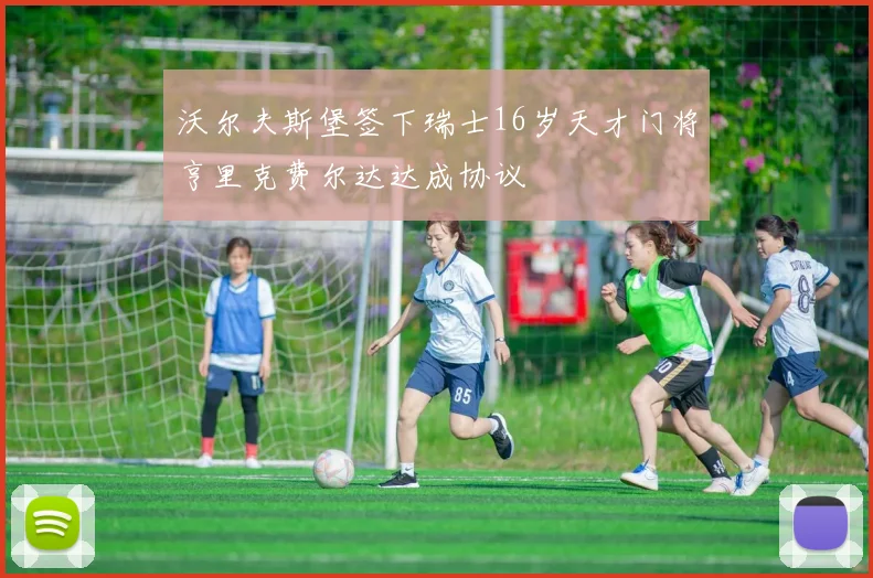 沃尔夫斯堡签下瑞士16岁天才门将亨里克费尔达达成协议