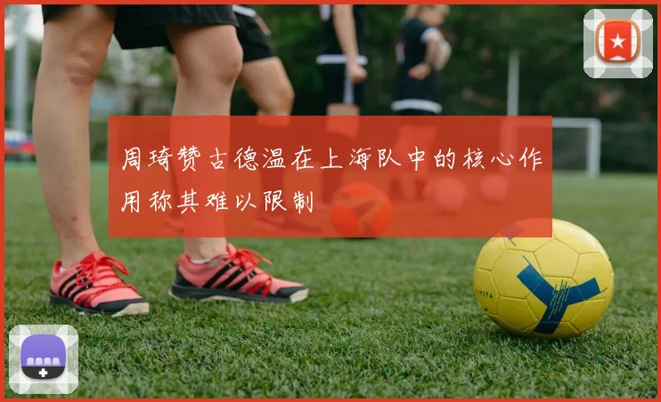 周琦赞古德温在上海队中的核心作用称其难以限制